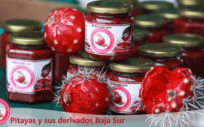Beneficios de la pitaya