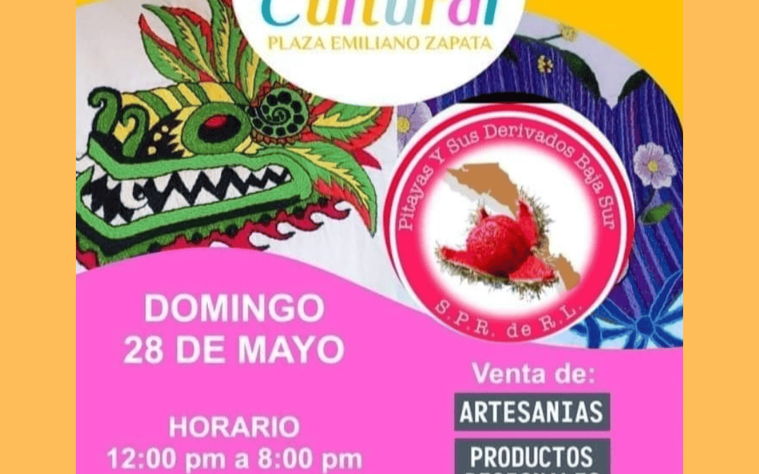 pitayas_blog_entrada1