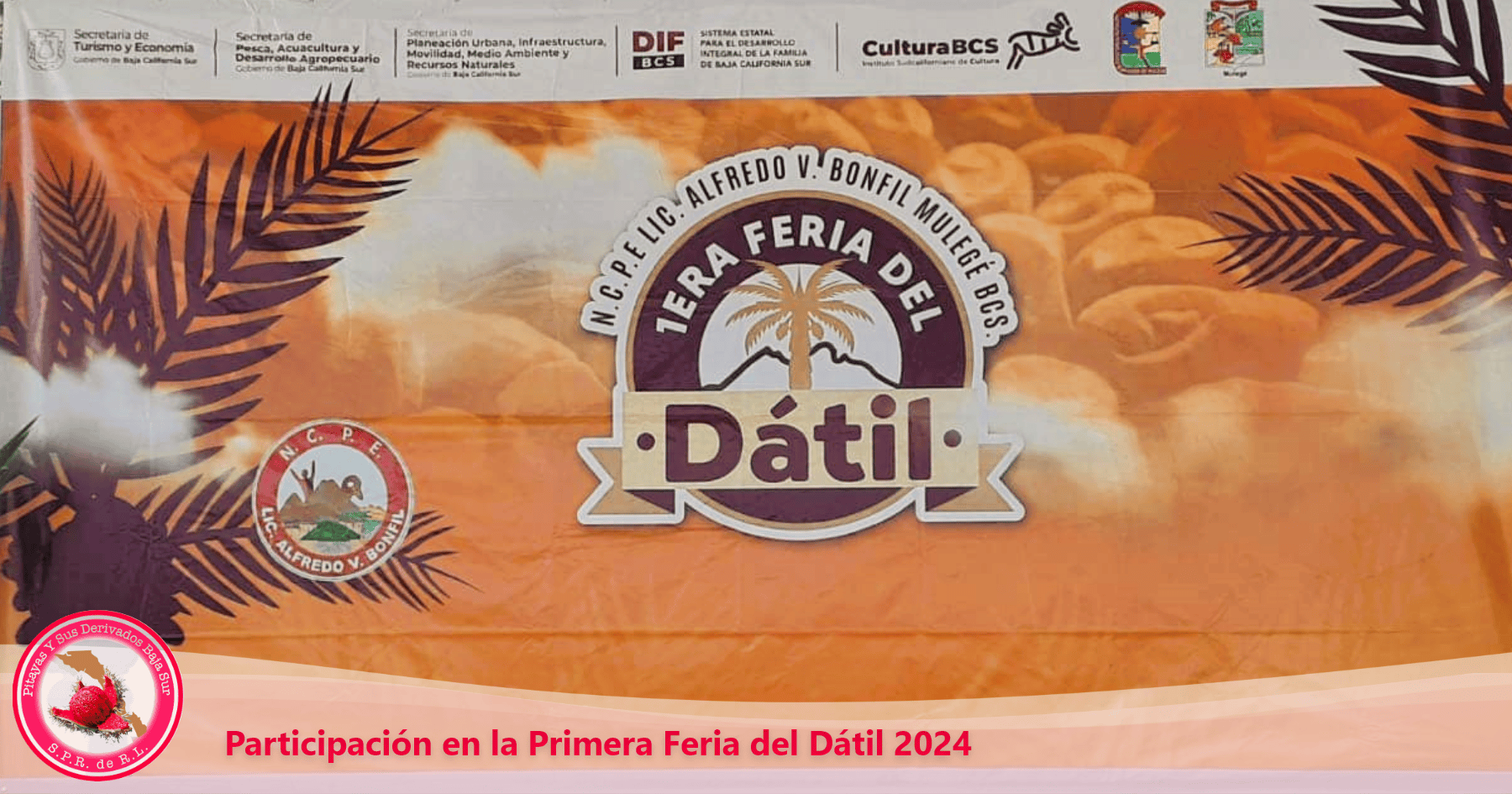 pitayas_baja_sur_primera_feria_del_datil_2024 – 1 pitayas_baja_sur_primera_feria_del_datil_2024