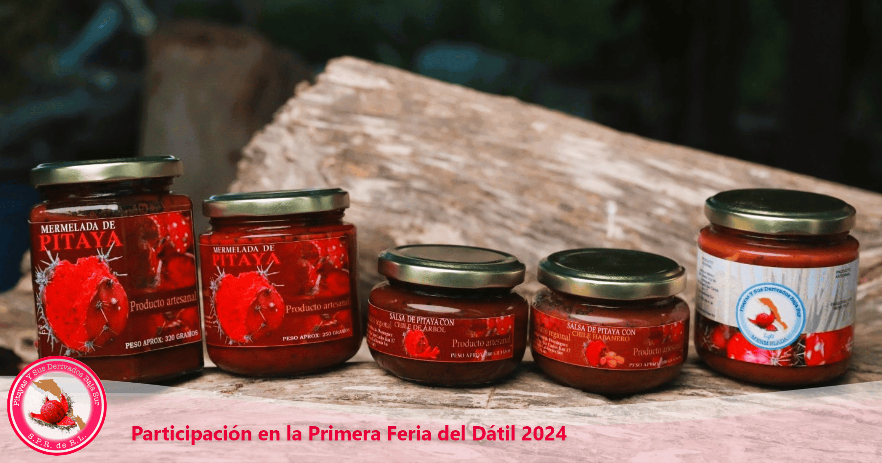 pitayas_baja_sur_primera_feria_del_datil_2024 – 5 pitayas_baja_sur_primera_feria_del_datil_2024