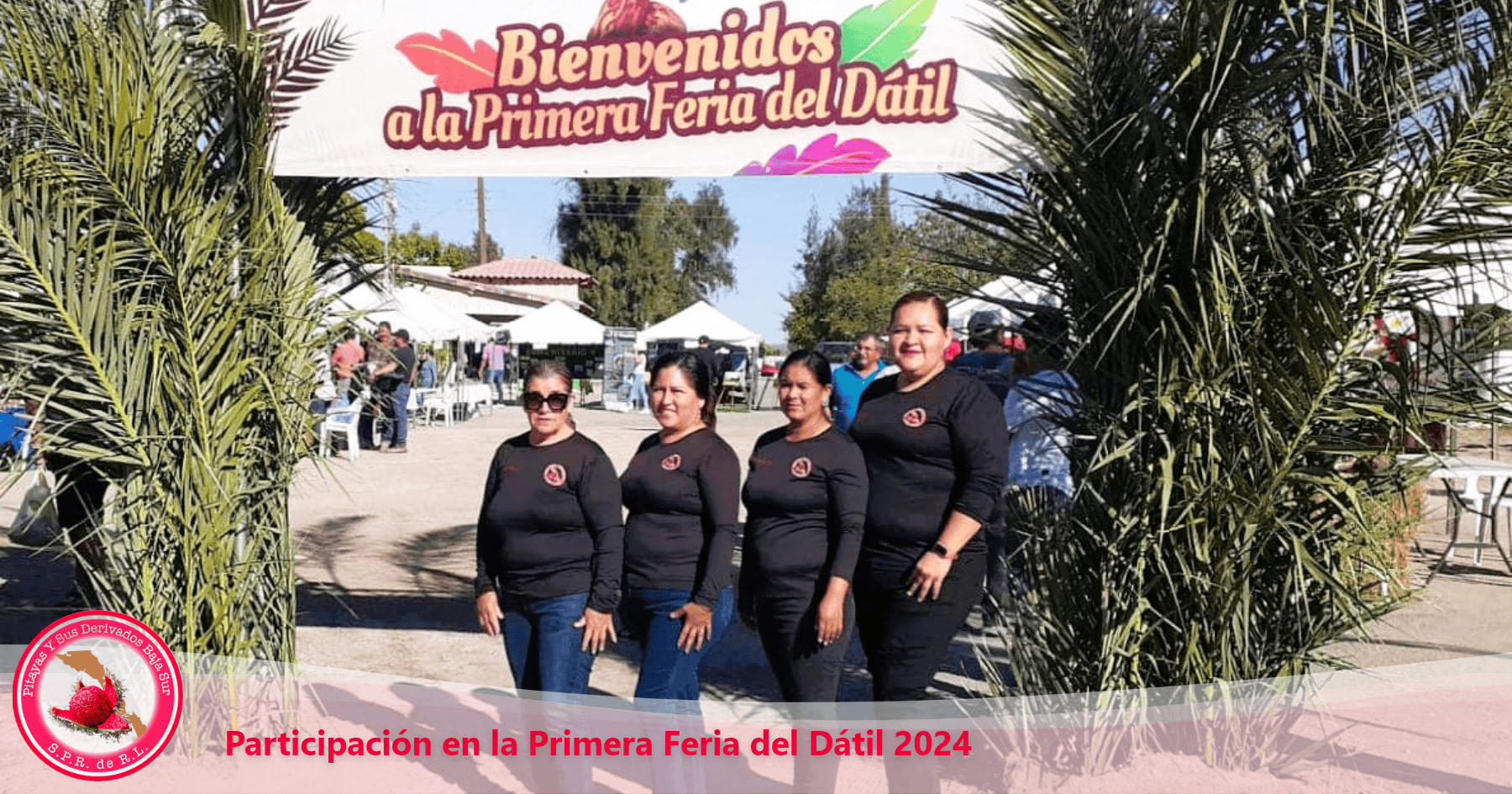 pitayas_baja_sur_primera_feria_del_datil_2024 pitayas_baja_sur_primera_feria_del_datil_2024