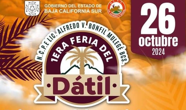 pitayas_baja_sur_primera_feria_del_datil_2024